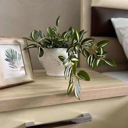 New Modern Tirana Apartment المظهر الخارجي الصورة