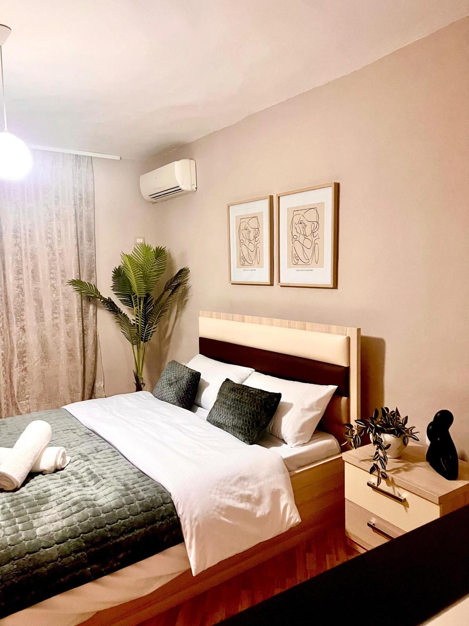 New Modern Tirana Apartment المظهر الخارجي الصورة