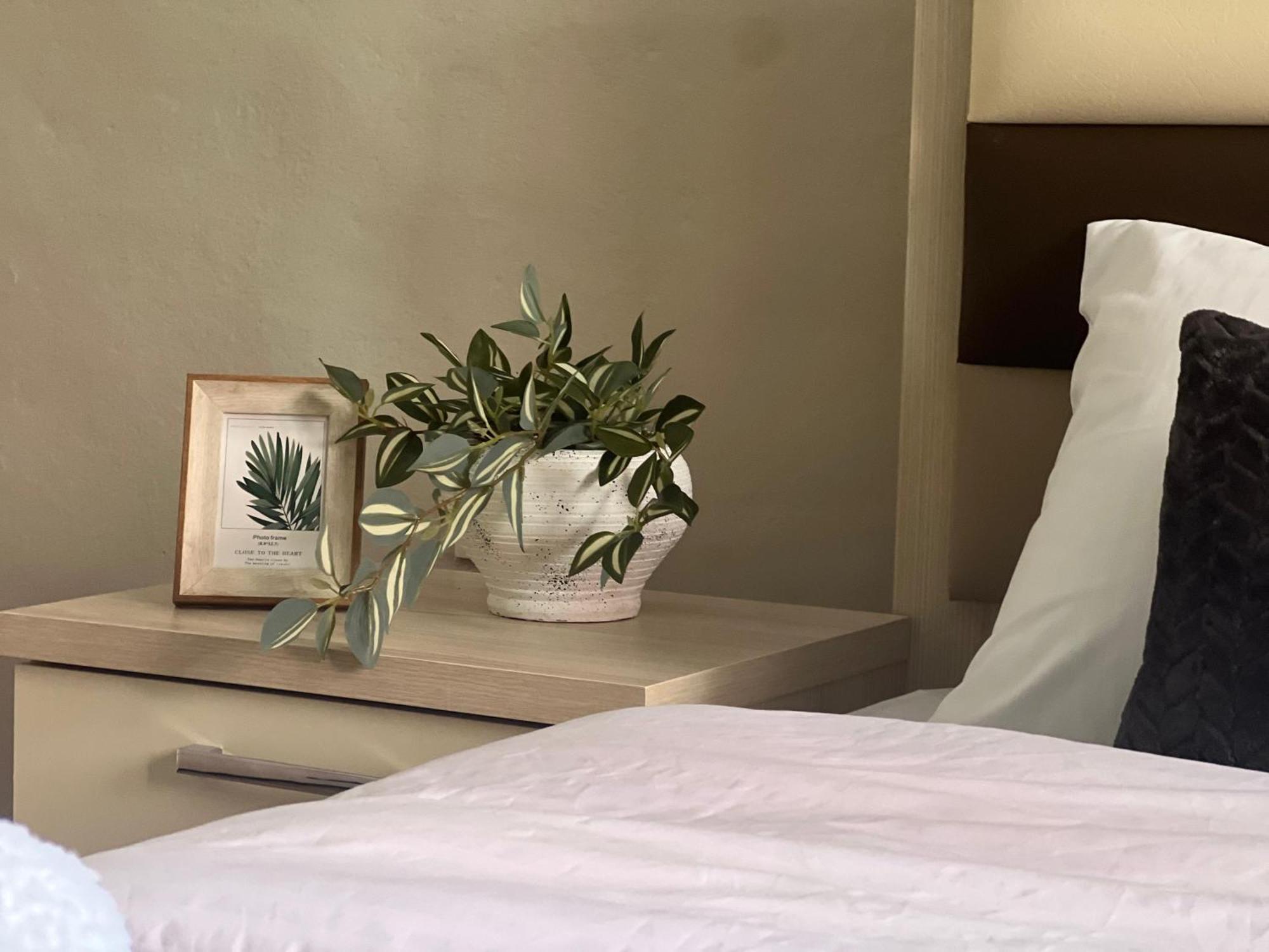 New Modern Tirana Apartment المظهر الخارجي الصورة